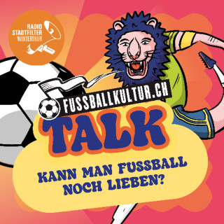 Kann man Fussball noch lieben? (Verein Fussballkultur)