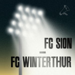 Runde 19: FC Sion - FC Winterthur 2:0