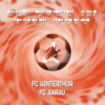 Runde 9: FC Winterthur - FC Aarau 2:1
