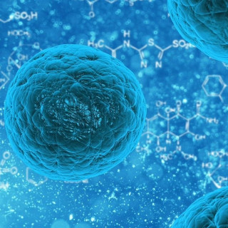 #34 – NGW-Radio, 25.6.2023: Immunsystem