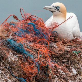 #38 – NGW-Radio, 28.4.2024: Bioabbaubares Plastik