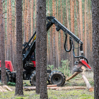 #49 NGW-Radio, 1.2.2026: Wälder und der Klimawandel