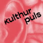 Kulthurpuls "Ich habe nichts gegen Ausländer*innen aber..."