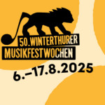 Sehgewohnheiten, Repräsentation und Diversität an Musikfestivals