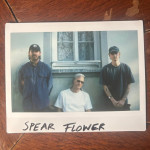 Spear Flower